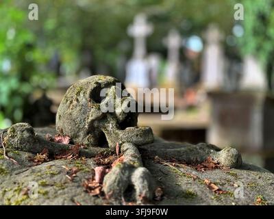 Verwitterte Steinskulptur eines Schädels mit gekreuzten Knochen, bedeckt mit Moos, auf einem historischen Grabmal auf dem Zentralfriedhof Bruges-Assebroek in Belgien Stockfoto