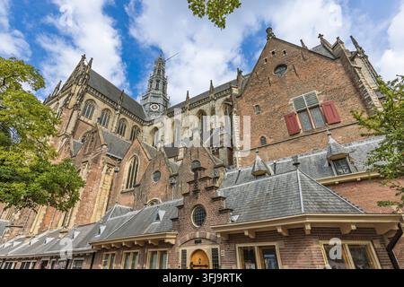 Haarlem, Niederlande – Low-Angle-Architekturaufnahme der De Grote oder St. Bavokerk, die gotische Fassade und Maurerarbeit unter einem blauen Himmel zeigt. Stockfoto