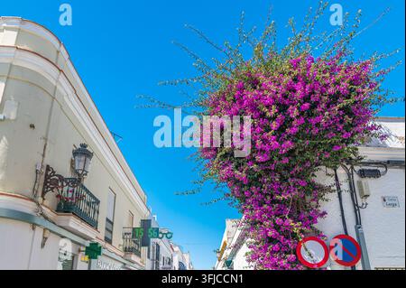 CHIPIONA, SPANIEN – 5. APRIL 2023: Blick auf die Straßen im historischen Zentrum von Chipiona, Provinz Cádiz, Andalusien, Südspanien, zeigt die Architektur Stockfoto