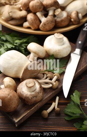 Viele verschiedene Pilze, Petersilie und Messer auf Holztablett, Nahaufnahme Stockfoto