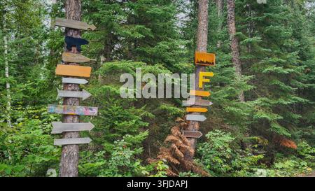 Bunte Holzwegweiser, die an Kiefern in einem dichten Wald befestigt sind, symbolisieren Wandern, Outdoor-Abenteuer, Navigation und Erkundung im Wi Stockfoto