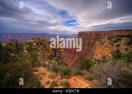 Grand Canyon mit Kontrast von nahendem Regen neben klarem blauem Himmel. Im Vordergrund sind einheimische Pflanzen zu sehen. Stockfoto