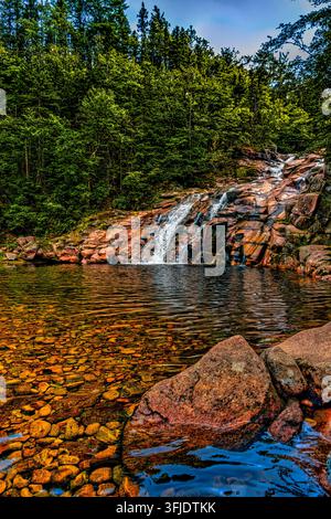 Kleiner Wasserfall stürzt über rötliche Felsen in ein klares Becken in einem Wald auf Cape Breton Island, Nova Scotia, Kanada. Stockfoto