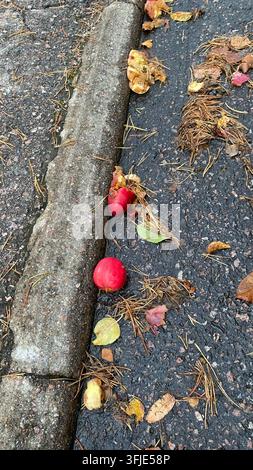Gefallene rote Äpfel und Herbstblätter neben dem Straßenrand auf nassem Asphalt Stockfoto