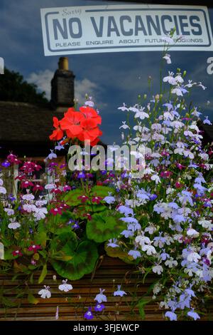 "No Vacancies"-Schild in einem Fenster im Dorf Castleton, nahe Winnats Pass im Peak-District-Nationalpark, Derbyshire, UK Stockfoto