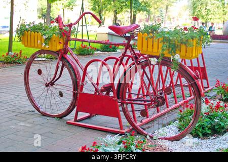 Das alte Fahrrad in Form von Blumenbeeten. Stockfoto