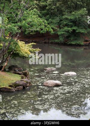 Teich mit Trittsteinen und japanischen Ahornbäumen in einem traditionellen Garten in Nara, Japan Stockfoto
