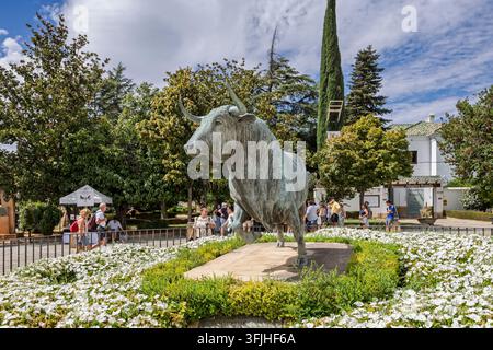 Nahaufnahme einer lebensgroßen Bronzestatue eines kämpfenden Stiers außerhalb der Stierkampfarena in Ronda, Spanien, am 9. September 2026 Stockfoto