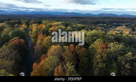 Farbige Bäume mit Blättern in verschiedenen Farben in einer amerikanischen Vorstadt. Luftaufnahme. Friedliche Landschaftsatmosphäre mit Bergen im Di Stockfoto
