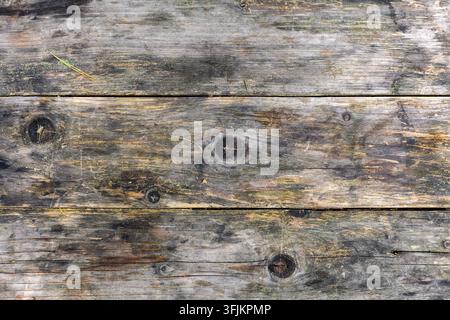 Verwitterte Holzplanken-Texturhintergrund. Nahaufnahme von gealterten, verwitterten Holzplanken mit sichtbarer Maserung, Knoten und abgenutzter Oberflächentextur. Stockfoto