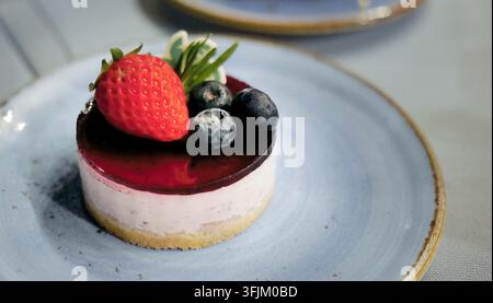 Elegante Mini-Heidelbeer-Mousse-Käsekuchen mit einer cremigen Beerenschicht und lebendiger violetter Gelee-Glasur auf einem Biskuitboden. Verziert mit einer frischen ganzen St Stockfoto