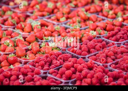Frische reife große rote Erdbeeren mit grünen Blättern und frischen Himbeeren in einem Plastikbehälter oder einer Schachtel, auf einem Obst- und Gemüsemarkt Stockfoto