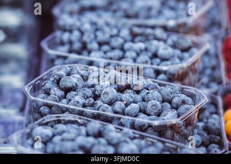 Frische Blaubeeren, die in kleinen Plastikbehältern angeordnet sind, bereit für den Verkauf in einem Obst- und Gemüsemarkt Stockfoto