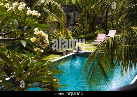 tropischer Garten mit einem Swimmingpool Stockfoto