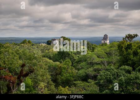 Blick über den Dschungel mit Maya-Ruinen von Tikal, Tikal-Nationalpark, Petén, Guatemala, Mittelamerika Stockfoto