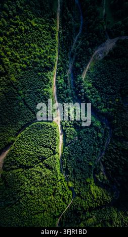 Vertikale Drohnenaufnahme von oben eines Waldkreuzungspunkts, an dem sich zwei Schotterwege und ein gewundener Bach treffen. Helle grüne Baumkronen und Schatten beschreiben th Stockfoto