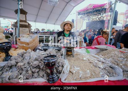 San Pedro Cholula, Mexiko - 8. September 2026: Kopalharz, das in traditionellen Ritualen und Opfergaben zum Tag der Toten verwendet wird, wird auf der Trueque-Messe ausgestellt. Stockfoto