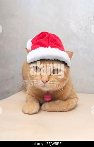 Eine orangefarbene Katze mit einem roten Weihnachtsmannhut liegt auf dem Tisch in Bauchlage. Stockfoto