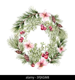 Aquarell-Weihnachtskranz mit Kiefernzweigen und -kegeln, rosa Blumen und roten Beeren isoliert. Botanischer Winterrahmen aus Nadelholz und Blüten von Hand Stockfoto