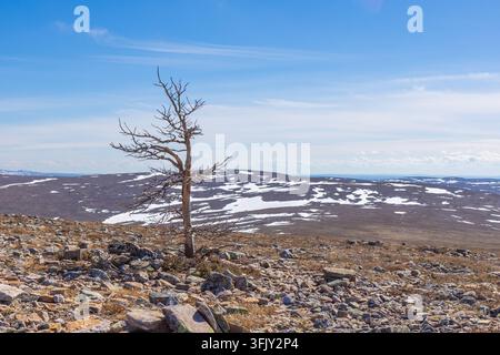 Atemberaubende Hochwinkel-Landschaftsansicht vom Kiilopaa-Berg im Urho-Kekkonen-Nationalpark, Lappland, Finnland, die weitläufige Kiefernwälder zeigt, w Stockfoto