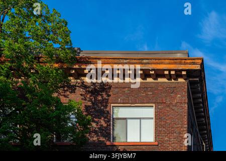 Obere Ecke eines Edwardianischen roten Backsteingebäudes, eingerahmt von grünen Baumblättern vor blauem Himmel auf Commercial Drive Vancouver British Columbia. Stockfoto
