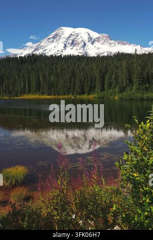 Reflection Lake und Wildblumen im Mount-Rainier-Nationalpark in Washington Stockfoto