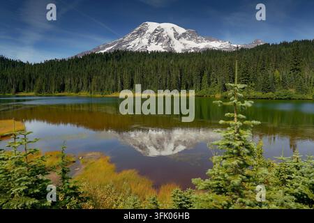 Reflection Lake im Mount-Rainier-Nationalpark in Washington Stockfoto