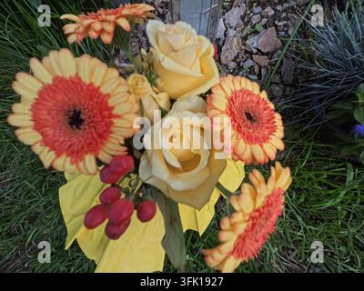 buntes Blumenbeet im Schlossgarten Siegen in der Nahaufnahme Stockfoto