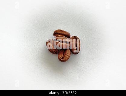 Mainz, Rheinland-Pfalz, Deutschland: Geröstete Kaffeebohnen auf weißem strukturiertem Hintergrund mit großzügigem Kopierraum. Stockfoto