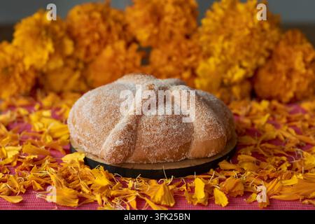 Traditionelles mexikanisches Pan de Muerto-Brot auf einer Holzunterlage, umgeben von Cempasuchil-Goldblumen Stockfoto