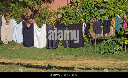 Frische Wäsche trocknet an einer Wäscheleine im Freien in einem ländlichen Sommergarten, umgeben von grünen Weinreben und wirft starke Schatten auf das Gras Stockfoto