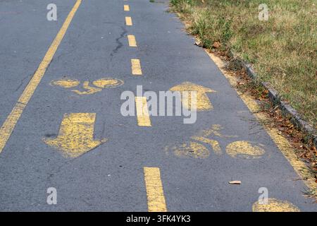 Gelb gestrichene Fahrradsymbole und Richtungspfeile teilen einen zweispurigen Asphalt-Fahrradweg, der einen gepflasterten Fußgängerweg begrenzt. Stockfoto