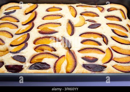 Hausgemachter Pflaumkuchen, gebacken in einer rechteckigen Form auf weißem Hintergrund Stockfoto