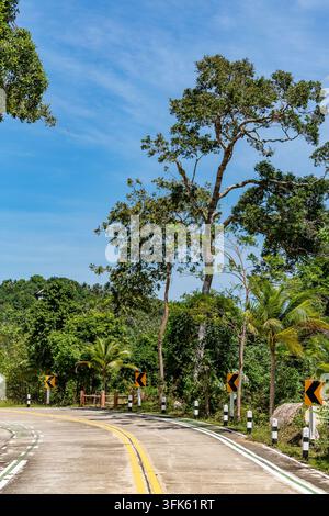 Windinge tropische Straße mit Bergblick, Thailand. Gekrümmte Asphaltstraße mit gelben Markierungen und Verkehrsschildern windet sich durch üppigen tropischen Dschungelwald Stockfoto