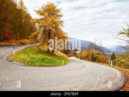 Die sich windende Serpentinenstraße schlängelt sich durch einen Herbstwald, Alpen, Norditalien. Scharfe Hairpin-Kurve auf einer asphaltierten Bergstraße. Malerische Alpenlandschaft Stockfoto