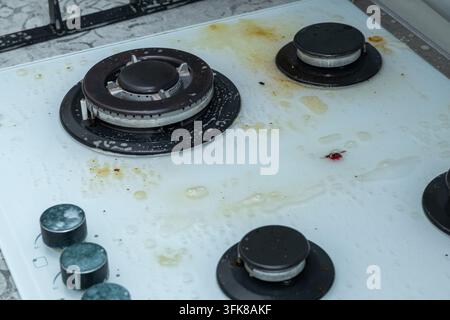 Glühender weißer Gasherd, behandelt mit Schaum und Reinigungsmittel Stockfoto
