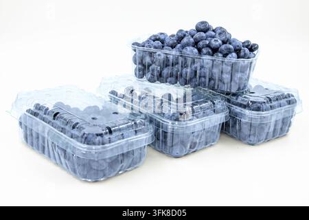 Frische Blaubeeren in einem offenen Plastikbehälter über verpackten Beerenkisten Stockfoto