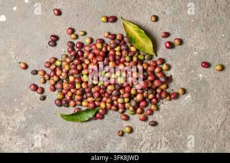 Haufen frischer roher Kaffeebohnen auf Betonboden, rote und grüne ungeröstete Bohnen mit grünen Blättern, von oben aufgenommen mit Kopierraum, landwirtschaftlich Stockfoto
