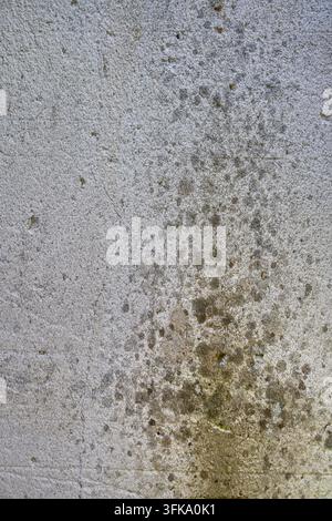 Detaillierte Nahaufnahme-Textur einer verwitterten, fleckigen und gesprenkelten hellen Beton- oder Putzwand-Hintergrund Stockfoto