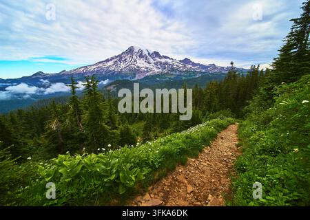 Ein gewundener Pfad, der von Wildblumen gesäumt ist, führt durch dichten immergrünen Wald zum Mount Rainier. Üppige Vegetation und dramatische Bergaussichten schaffen eine paradiesische Stockfoto