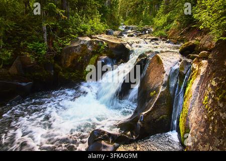 Wasserfall, der über moosige Felsen in einer üppigen Waldlandschaft fließt Stockfoto