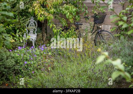 Wildblumen in Hülle und Fülle im Bauerngarten Stockfoto