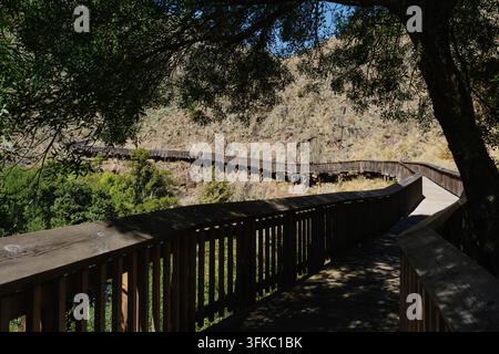 Holzsteg mit Geländern windet sich durch grüne Hügel und felsige Hänge in Passadicos do Mondego, Guarda, Portugal. Wanderweg zum Trekking Stockfoto