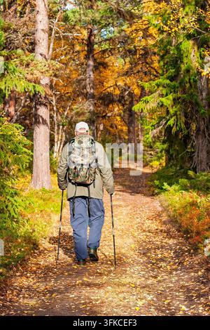 Senior-Wanderer geht auf einem herbstlichen Waldweg mit Rucksack und Trekkingstöcken Stockfoto
