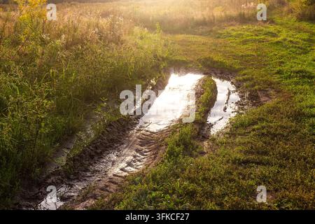 Schmutzige Reifenspuren, gefüllt mit Regenwasser, die eine spiegelähnliche Reflexion auf einer rustikalen Landstraße durch eine goldene Wiese während eines warmen sonnigen Nachmittags erzeugen Stockfoto