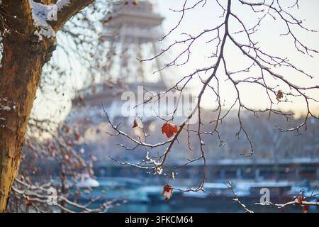 Nahaufnahme von verschneiten Ästen mit verbliebenen Herbstblättern, mit dem Eiffelturm im Hintergrund an einem kalten Wintertag in Paris, Frankreich. Meere Stockfoto