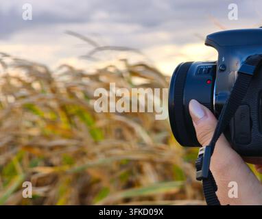 Frauenhände halten eine DSLR-Kamera und machen Fotos im Freien. Stockfoto
