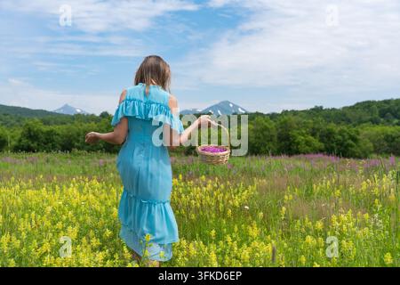 Frau in blauem Kleid, die einen Korb mit lila Blumen hält, geht durch eine gelbe Wiese mit Wildblumen und Wald. Rückansicht der Frau, die einen Sommertag im Freien genießt Stockfoto