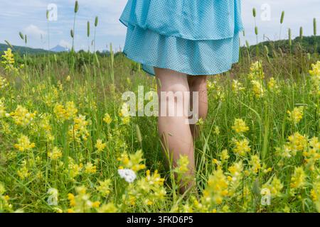 Niedrigwinklige Ansicht von weiblichen Beinen und Saum eines fließenden blauen gepunkteten Kleides inmitten hohen Grases und gelber Blüten. Natürliches Sonnenlicht, ruhige Outdoor-Stimmung. Ideal Stockfoto
