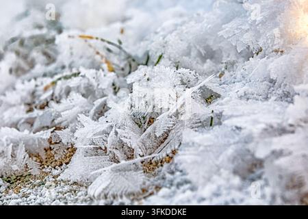 Frost bedeckt Gras und Boden mit kunstvollen Mustern und zeigt die Auswirkungen des Winters auf die Natur im Freien. Makro Stockfoto